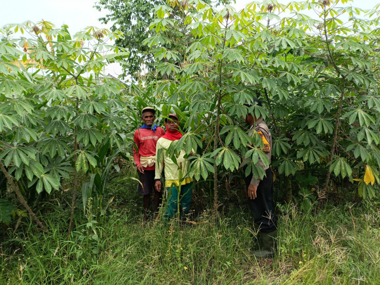Dukung Ketahanan Pangan, Polsek Balongbendo Masif Turun ke Warga