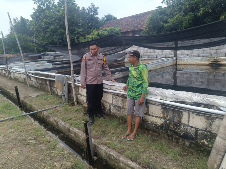 Dukung Swasembada Pangan, Dampingi Budidaya Lele di Desa Waung