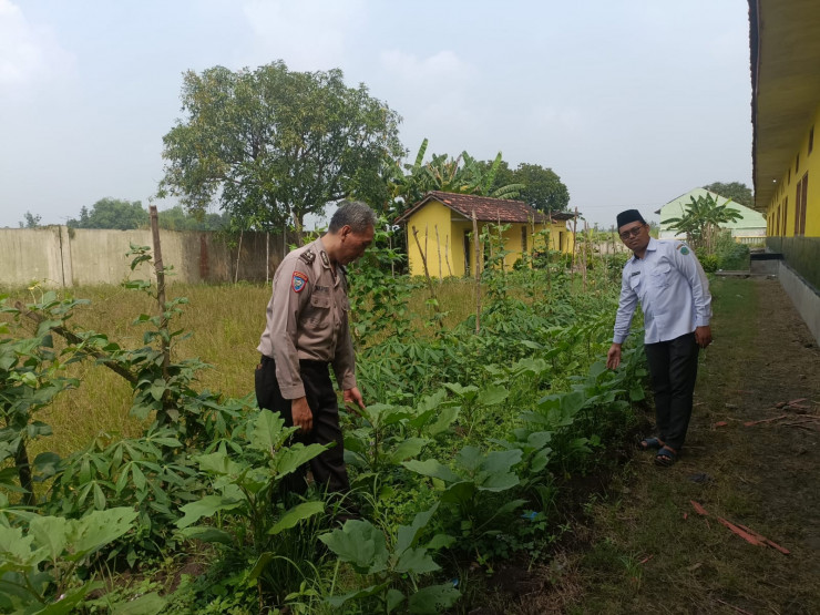 Jalankan Program Asta Cita Presiden, SDN Kedung Sugo I Manfaatkan Lahan Kosong untuk Ketahanan Pangan