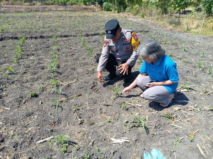 Polsek Taman Patroli Ketahanan Pangan Beri Semangat Petani Tingkatkan Panen