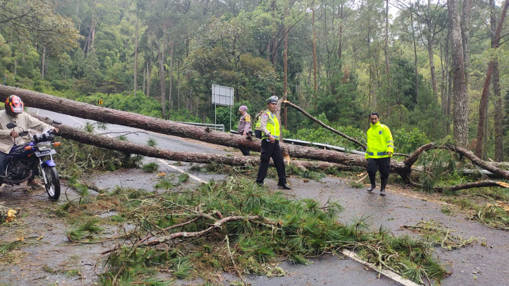 Polres Magetan Bersama TNI dan BPBD Evakuasi Pohon Tumbang, Akses Jalan Sarangan - Cemorosewu Terbuka