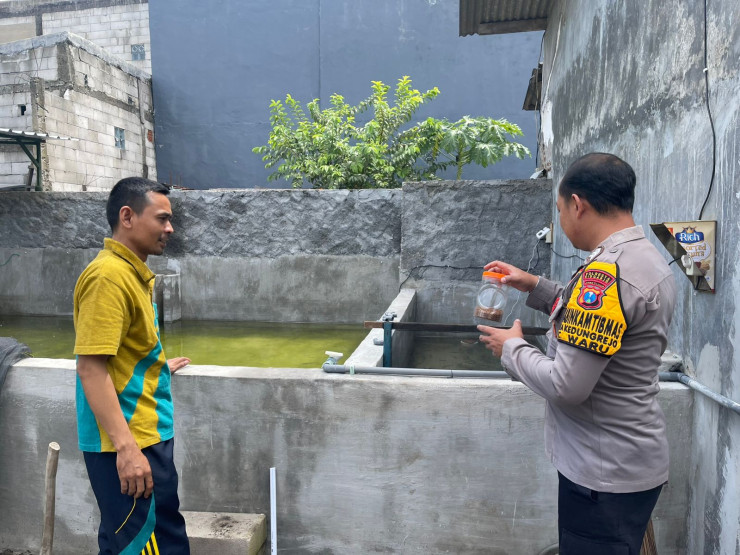 Bhabinkamtibmas Desa Kedungrejo Polsek Waru Tingkatkan Ketahanan Pangan Dampingi Warga Budidaya Ikan Patin