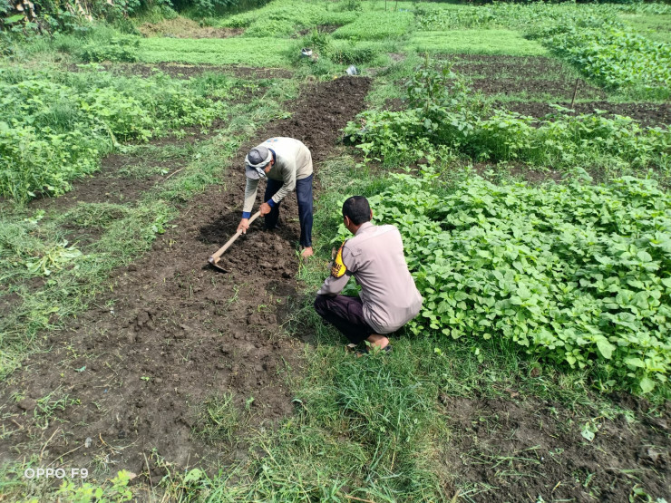 Bhabinkamtibmas Tinjau Lahan Sayur, Dorong Swasembada Pangan Warga Sidoarjo