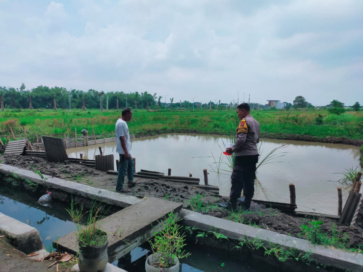 Implementasi Asta Cita Presiden Prabowo, Budidaya Ikan Nila di Sukodono Perkuat Ketahanan Pangan Kabupaten Sidoarjo