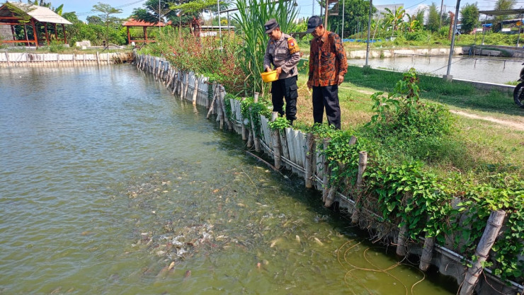 Bhabinkamtibmas Desa Tropodo Tinjau Kolam Ikan Bumdes Dukung Ketahanan Pangan