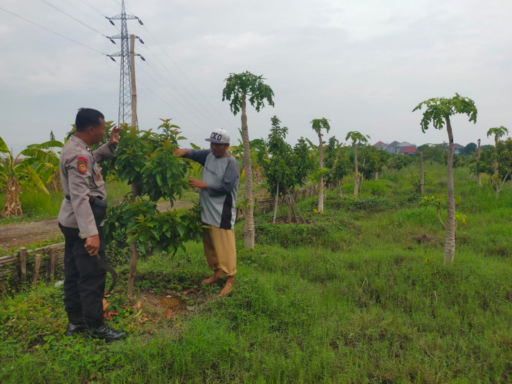 Polisi bersama Warga Pagerwojo, Wujudkan Ketahanan Pangan Kembangkan Tanaman Alpukat