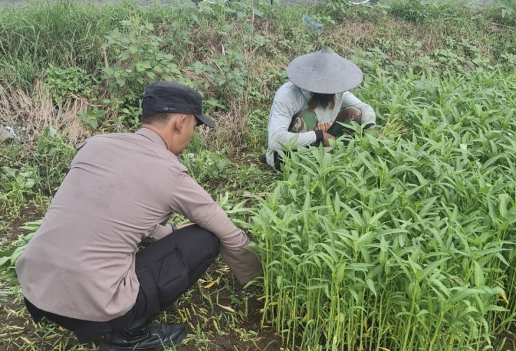 Bhabinkamtibmas Desa Sumberejo Cek Ketahanan Pangan Warga, dengan Pemanfaatan Lahan Kosong untuk Tanaman Sayur