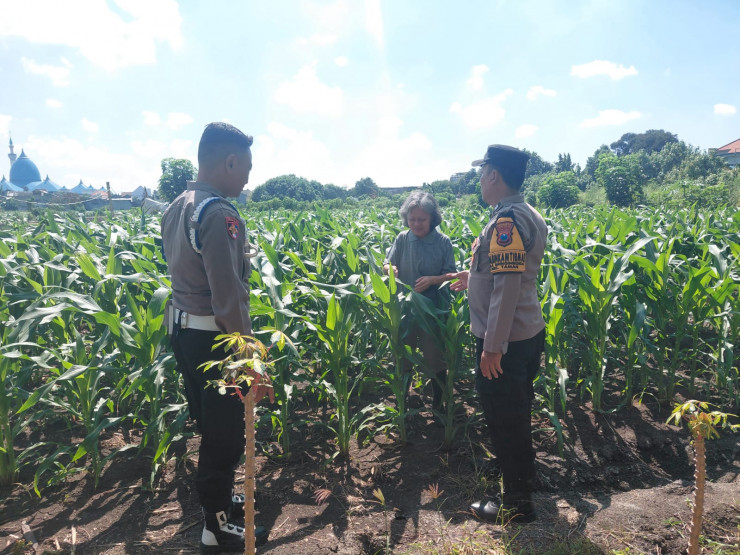 Polsek Taman Patroli Lahan Jagung, Perkuat Sinergi dengan Kelompok Tani Dukung Ketahanan Pangan