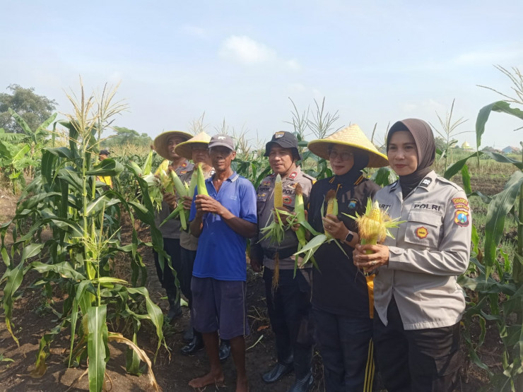 Polsek Krian Apresiasi Program Ketahanan Pangan Pertanian Jagung
