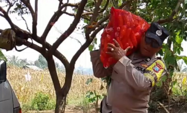 Bahu-Membahu di Ladang Jagung, Jajaran Polresta Malang Kota Bersama Warga Wujudkan Ketahanan Pangan