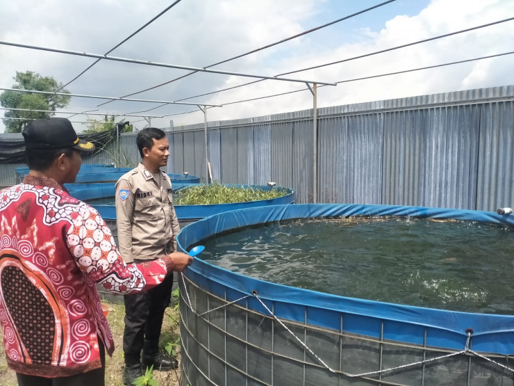 Bhabinkamtibmas Bersama Perangkat Desa Ganting Tinjau Program Ketahanan Pangan Budidaya Lele Bioflok