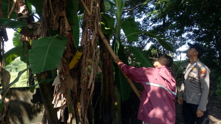 Bhabinkamtibmas Desa Sumberejo Polsek Wonoayu Cek Lahan Kosong untuk Dukung Ketahanan Pangan