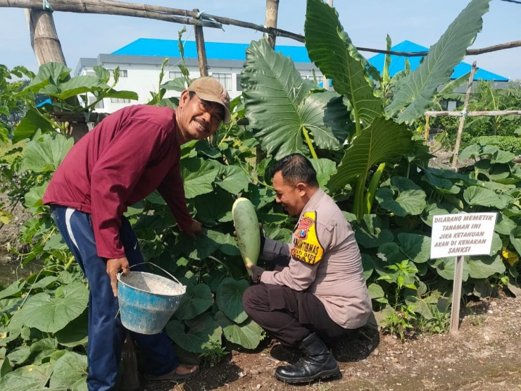 Polisi Cinta Petani Beri Tips Perawatan Labu Saat Patroli di Sedati Sidoarjo, Ini Pesannya!