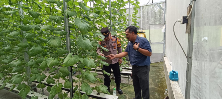 Kapolsek Tarik Tinjau Kebun Melon Hidroponik di Desa Gempol Klutuk, Dukung Upaya Ketahanan Pangan