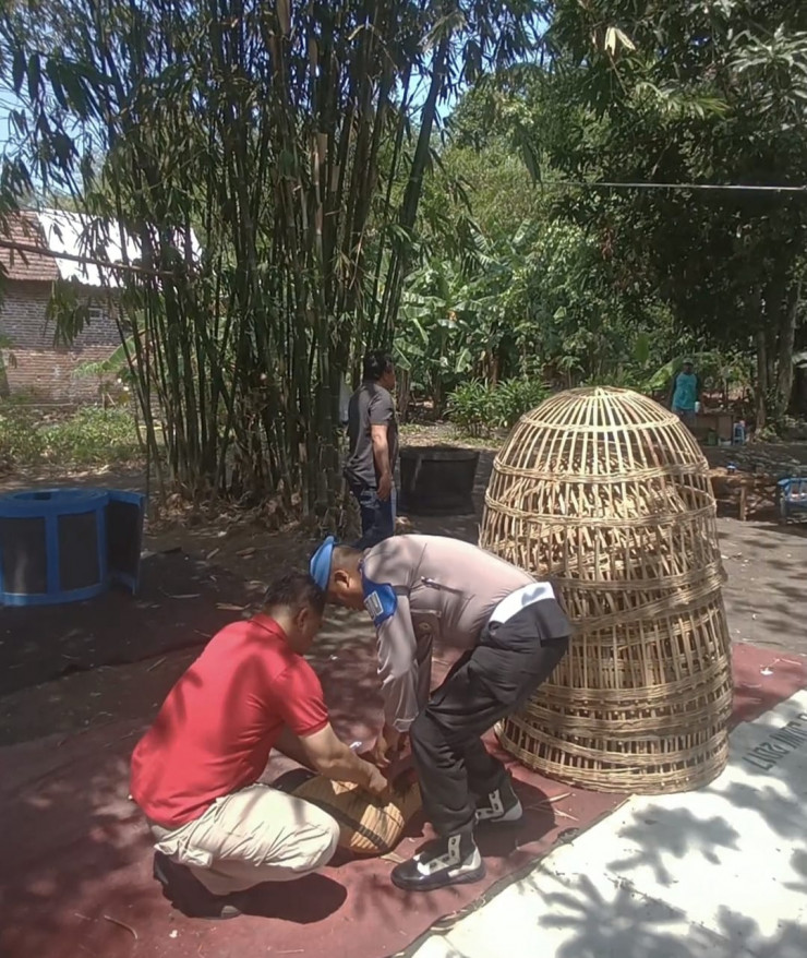 Tindaklanjuti Laporan Warga Polisi Bongkar Arena Sabung Ayam di Seketi Balongbendo